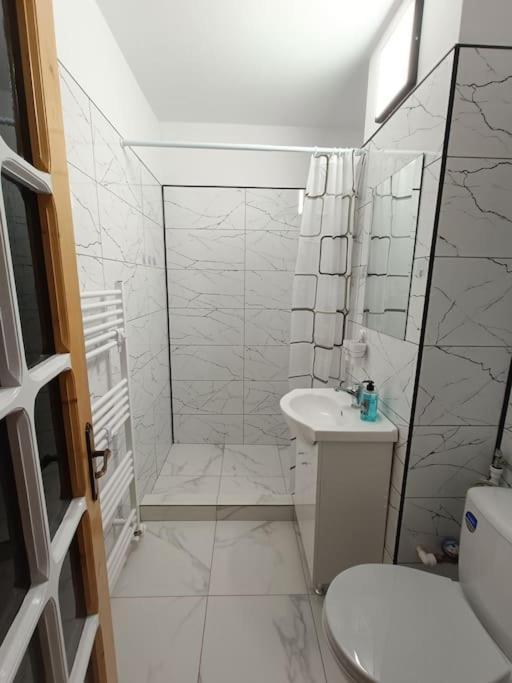 Apartament Alis2011 Buzău Zewnętrze zdjęcie